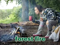 Định nghĩa của từ <b>forest fire</b>