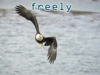 Định nghĩa của từ <b>freely</b>