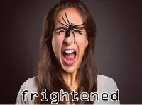 Định nghĩa của từ <b>frightened</b>
