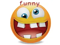 Định nghĩa của từ <b>funny</b>