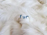 Định nghĩa của từ <b>fur</b>