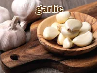 Định nghĩa của từ <b>garlic</b>