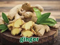 Định nghĩa của từ <b>ginger</b>