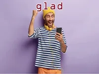 Định nghĩa của từ <b>glad</b>
