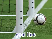 Định nghĩa của từ <b>goal line</b>