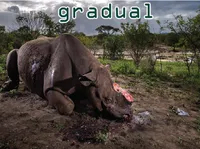 Định nghĩa của từ <b>gradual</b>