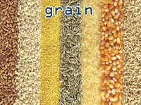 Định nghĩa của từ <b>grain</b>