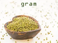 Ý nghĩa của từ vựng <b>gram</b>