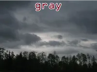 Định nghĩa của từ <b>gray</b>