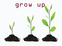 Định nghĩa của từ <b>grow up</b>