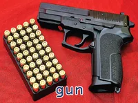 Định nghĩa của từ <b>gun</b>