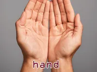 Định nghĩa của từ <b>hand</b>