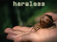Định nghĩa của từ <b>harmless</b>