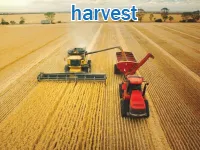 Định nghĩa của từ <b>harvest</b>