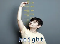 Định nghĩa của từ <b>height</b>