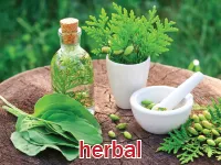 Định nghĩa của từ <b>herbal</b>