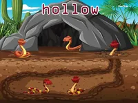 Định nghĩa của từ <b>hollow</b>