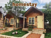 Định nghĩa của từ <b>homestay</b>
