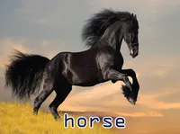Định nghĩa của từ <b>horse</b>