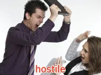 Định nghĩa của từ <b>hostile</b>
