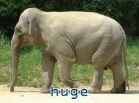 Định nghĩa của từ <b>huge</b>
