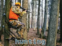 Định nghĩa của từ <b>hunting</b>