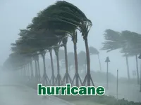 Định nghĩa của từ <b>hurricane</b>
