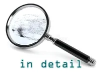 Định nghĩa của từ <b>in detail</b>