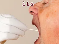 Ý nghĩa của từ vựng <b>its</b>