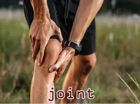 Định nghĩa của từ <b>joint</b>