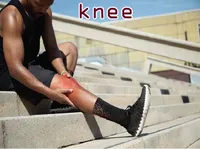 Định nghĩa của từ <b>knee</b>