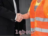 Định nghĩa của từ <b>labour</b>