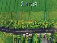 Định nghĩa của từ <b>land</b>