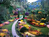 Định nghĩa của từ <b>landscape</b>