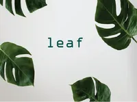 Định nghĩa của từ <b>leaf</b>