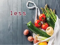 Định nghĩa của từ <b>less</b>