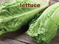 Định nghĩa của từ <b>lettuce</b>