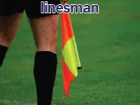 Định nghĩa của từ <b>linesman</b>