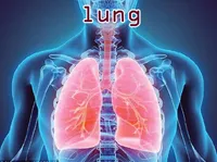 Định nghĩa của từ <b>lung</b>