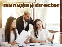 Định nghĩa của từ <b>managing director</b>