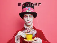 Định nghĩa của từ <b>manner</b>