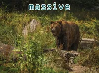 Định nghĩa của từ <b>massive</b>