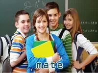 Định nghĩa của từ <b>mate</b>