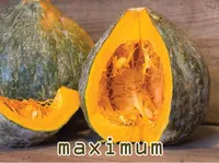 Định nghĩa của từ <b>maximum</b>