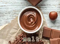 Định nghĩa của từ <b>melt</b>