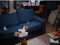 Định nghĩa của từ <b>mess</b>