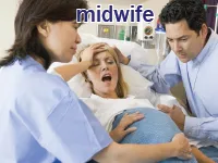 Định nghĩa của từ <b>midwife</b>