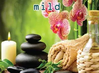 Định nghĩa của từ <b>mild</b>