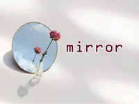 Định nghĩa của từ <b>mirror</b>