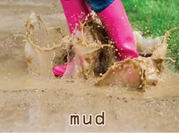 Định nghĩa của từ <b>mud</b>